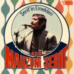 Aşık Mahzuni Şerif - Şerif'in Emekleri (Plak)