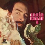 Erkin Koray - Erkin Koray Vol.2 (Plak) ,