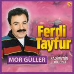 Ferdi Tayfur - Mor Güller / Fadime'nin Düğünü (Plak)